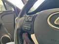 Lexus NX 300 NX Hybrid Executive Grigio - thumbnail 19