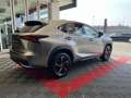 Lexus NX 300 NX Hybrid Executive Grigio - thumbnail 4