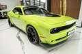 Dodge Challenger 6,4 SCAT PACK NAV ALPINE WIDEBODY Vert - thumbnail 3