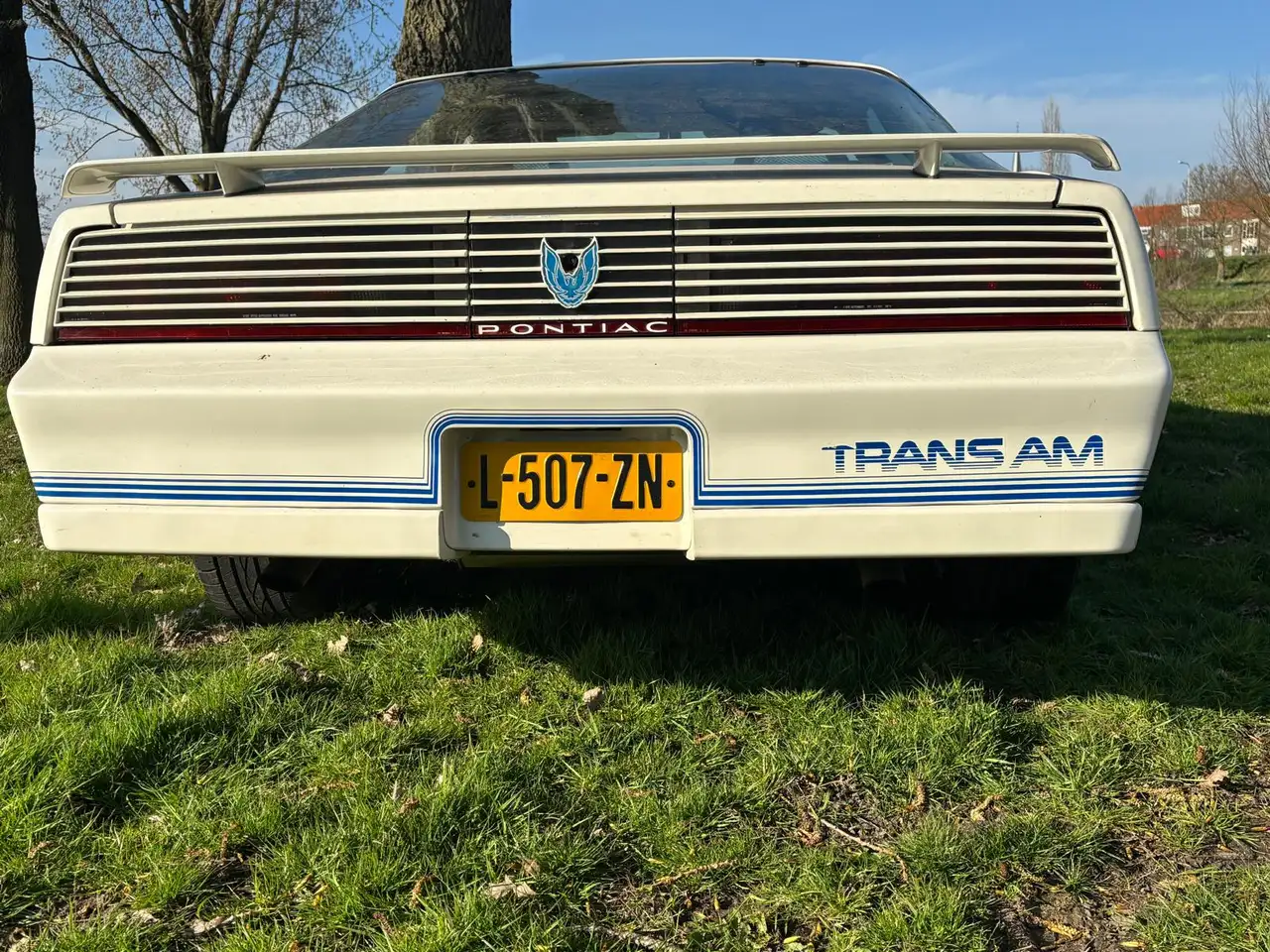 Pontiac Firebird 5.0 FV 87 Form Hardt TRANS AM, foto 8