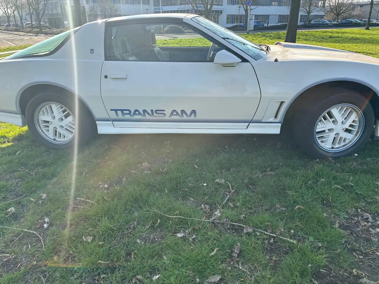 Pontiac Firebird 5.0 FV 87 Form Hardt TRANS AM, foto 5