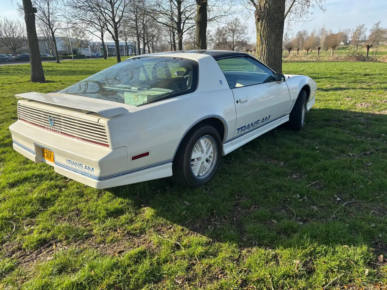 Pontiac Firebird 5.0 FV 87 Form Hardt TRANS AM, foto 6