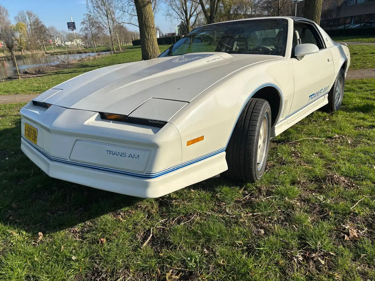 Pontiac Firebird 5.0 FV 87 Form Hardt TRANS AM, foto 2
