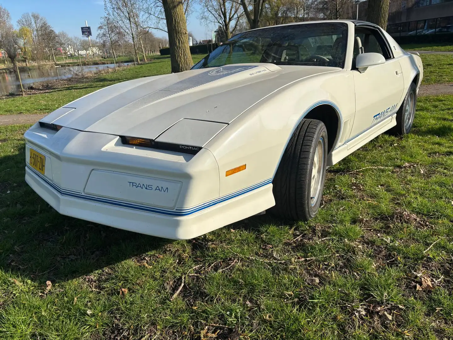 Pontiac Firebird Firebird 5.0 FV 87 Form Hardt TRANS AM Weiß - 2