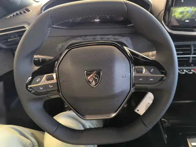 Peugeot 2008 view 11