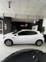 Renault Megane S.T. 1.5dCi Business 110 Blanco - thumbnail 5