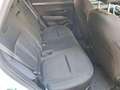 Hyundai TUCSON 1.6 T-GDI HEV aut. Exellence Bianco - thumbnail 12