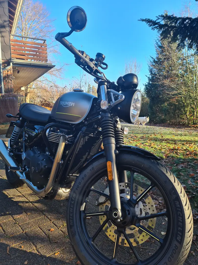 Triumph Speed Twin Triumph Speed Twin 900 Matt Silver Ice Серебристый - 2