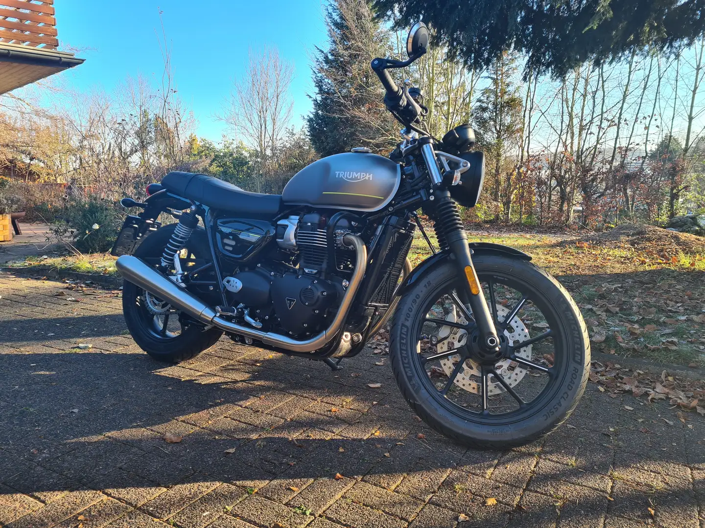 Triumph Speed Twin Triumph Speed Twin 900 Matt Silver Ice Серебристый - 1