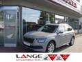 Skoda Kamiq 1.0 TGI G-TEC EU6d-T Style LED Sperrdiff. Apple Ca Grigio - thumbnail 1