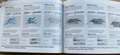 Hyundai i30 1.HAND*64.900KM*SCHECKHEFT*TÜV NEU*TOP Grau - thumbnail 2