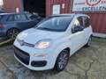 Fiat Panda Panda 1.2i K-way Wit - thumbnail 2