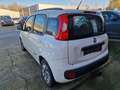 Fiat Panda Panda 1.2i K-way Wit - thumbnail 8