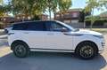 Land Rover Range Rover Evoque Land Rover Range Rover Evoque 2.0D MHEV R-Dynamic AWD Aut. 150 2020  Diésel, automático, 4x4 y gran equipamiento - thumbnail 2