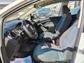 SEAT Altea Altea1.6TDICR Copa Reference E-eco. S&S Blanco - thumbnail 7