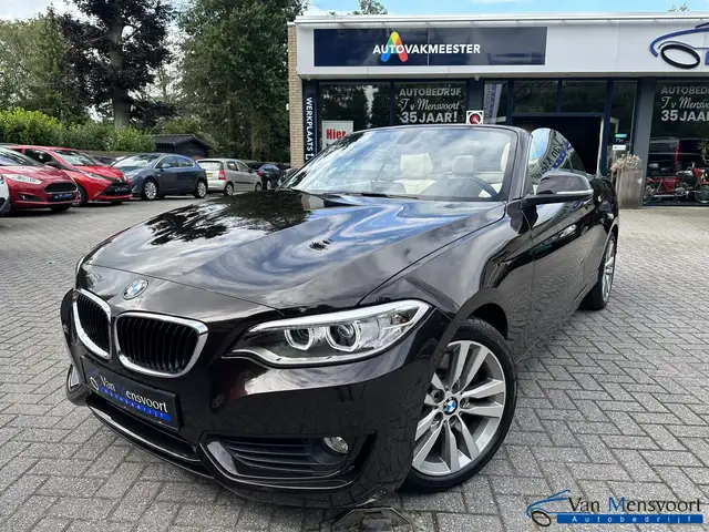BMW 230 2-serie Cabrio 230i Automaat 252PK Executive 17dKM