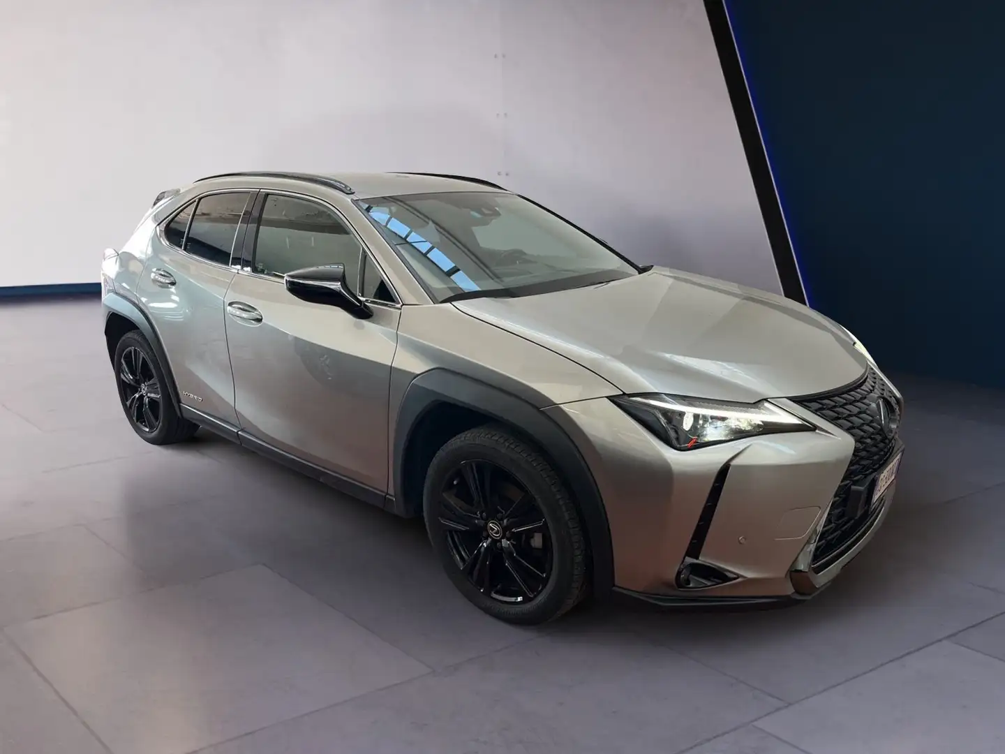 Lexus UX 250h 2019 250h 2.0 Midnight 2wd cvt Grigio - 2