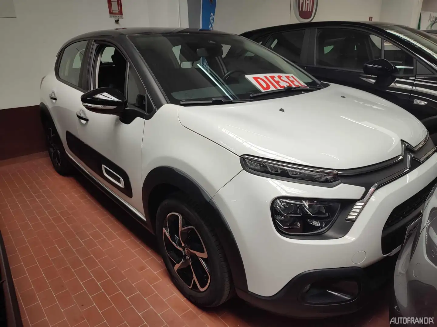 Citroen C3 - 5 PORTE 1.5 HDI 100CV SHINE Білий - 1