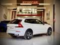 Volvo XC60 T6 Recharge Plus Dark Blanco - thumbnail 7