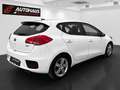 Kia Ceed / cee'd cee'd 1,4 CRDi Silber |PICKERL NEU|SERVICE NEU| Weiß - thumbnail 6