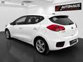 Kia Ceed / cee'd cee'd 1,4 CRDi Silber |PICKERL NEU|SERVICE NEU| Weiß - thumbnail 3