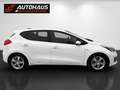 Kia Ceed / cee'd cee'd 1,4 CRDi Silber |PICKERL NEU|SERVICE NEU| Weiß - thumbnail 5
