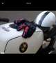 BMW R 45 Blanco - thumbnail 4