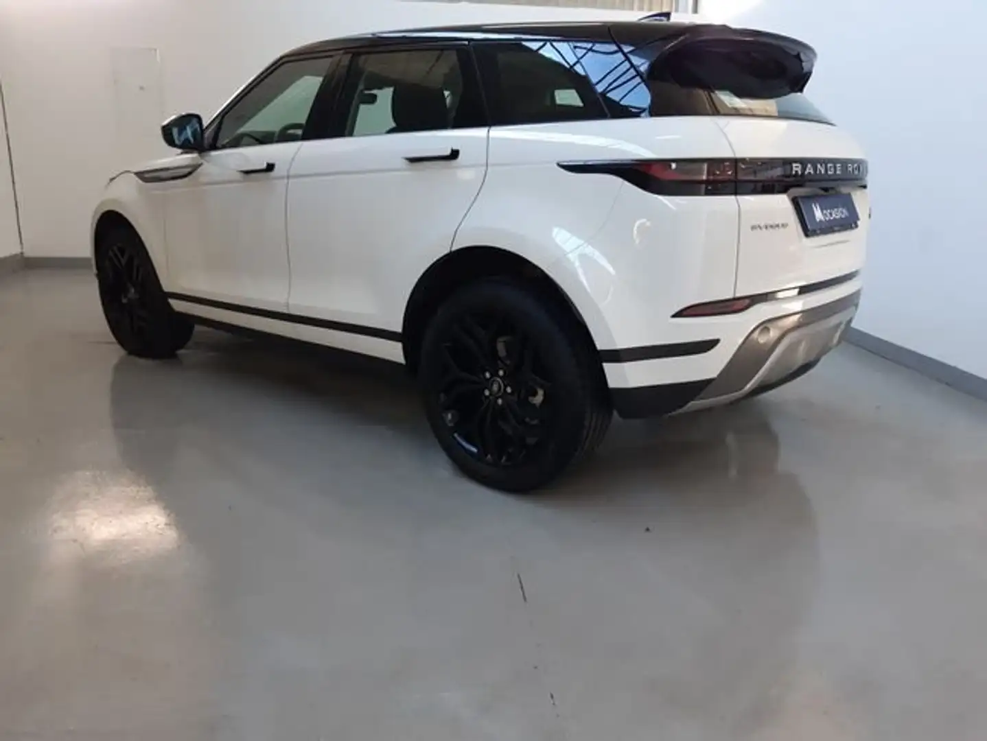 Land Rover Range Rover Evoque 2.0D I4 MHEV S AWD Aut. 163 Blanco - 2