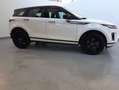 Land Rover Range Rover Evoque 2.0D I4 MHEV S AWD Aut. 163 Blanco - thumbnail 3