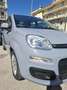 Fiat Panda Panda 1.0 firefly hybrid Garmin s Grigio - thumbnail 2