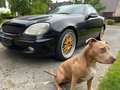 Mercedes-Benz SLK 230 SLK 230 Kompressor Zwart - thumbnail 4