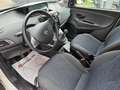 Lancia Ypsilon 1.0 FireFly 5 porte S&S Hybrid Bianco - thumbnail 5