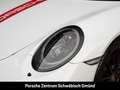 Porsche 991 911 Carrera 4 GTS LED PDLS+ BOSE 20-Zoll Blanc - thumbnail 11