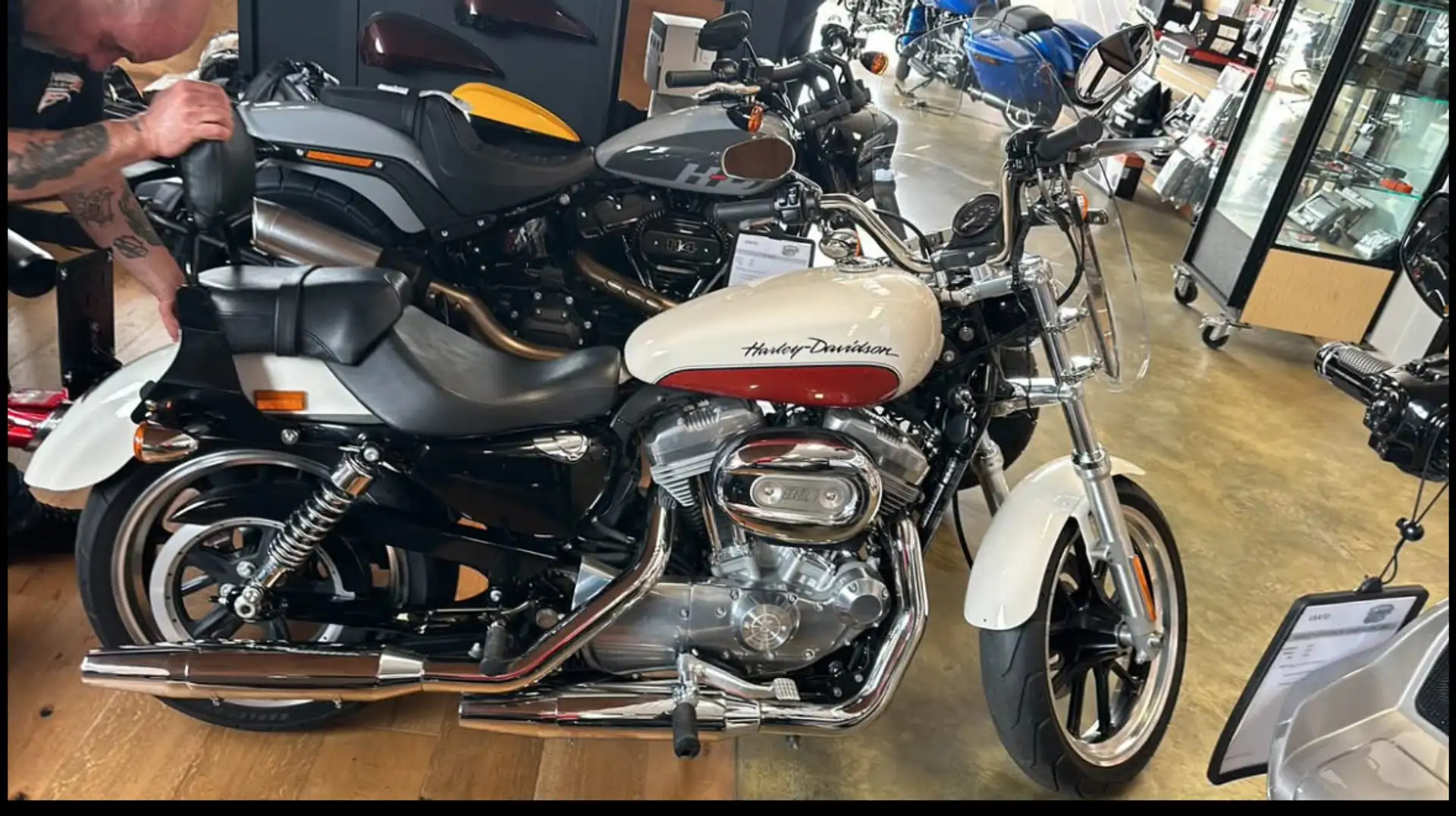 Harley-Davidson Sportster XL 883 xl883l - 1