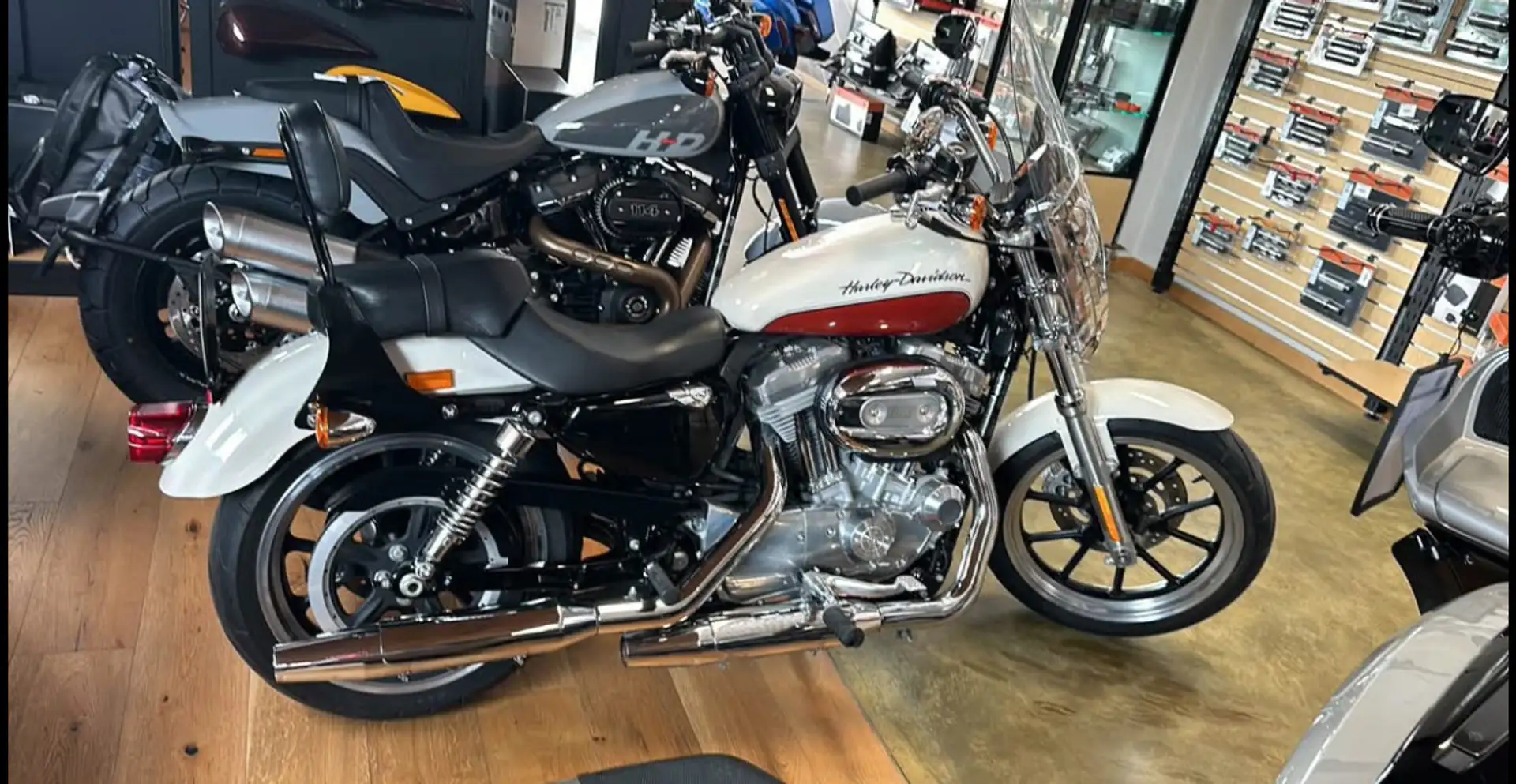Harley-Davidson Sportster XL 883 xl883l - 2