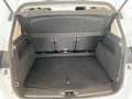 Ford C-Max C-Max 1.6 Titanium Gpl 120cv UNICO PROPRIETARIO Bianco - thumbnail 15