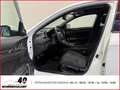 Honda Civic 1.5 Sport Plus VTEC+Panorama+Rückfahrkam.+SitzHZG+ Weiß - thumbnail 5