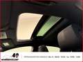 Honda Civic 1.5 Sport Plus VTEC+Panorama+Rückfahrkam.+SitzHZG+ Weiß - thumbnail 16