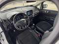 Ford EcoSport ST-Line 1.0 NAVI R-KAM PDC AHK GRA SHZG Klima Blanco - thumbnail 11