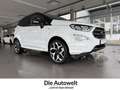 Ford EcoSport ST-Line 1.0 NAVI R-KAM PDC AHK GRA SHZG Klima Blanco - thumbnail 1