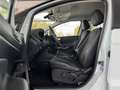 Ford EcoSport ST-Line 1.0 NAVI R-KAM PDC AHK GRA SHZG Klima Blanco - thumbnail 10