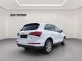 Audi Q5 2,0 TDI quattro DPF Weiß - thumbnail 4