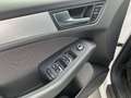 Audi Q5 2,0 TDI quattro DPF Weiß - thumbnail 9