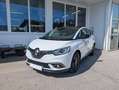 Renault Scenic Scénic Blue dCi 120 Limited Limited Weiß - thumbnail 1