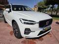 Volvo XC60 B4 Plus Dark Blanco - thumbnail 2