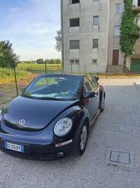 cabrio limeted