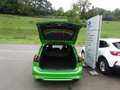 Ford Focus ST X LED Navi Kamera ACC Grün - thumbnail 8