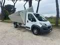 Fiat Ducato 35 2.3  RIBALTABILE TRILATERALE !!! Bianco - thumbnail 4
