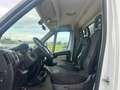 Fiat Ducato 35 2.3  RIBALTABILE TRILATERALE !!! Bianco - thumbnail 6