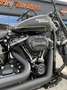 Harley-Davidson Street Bob Noir - thumbnail 7